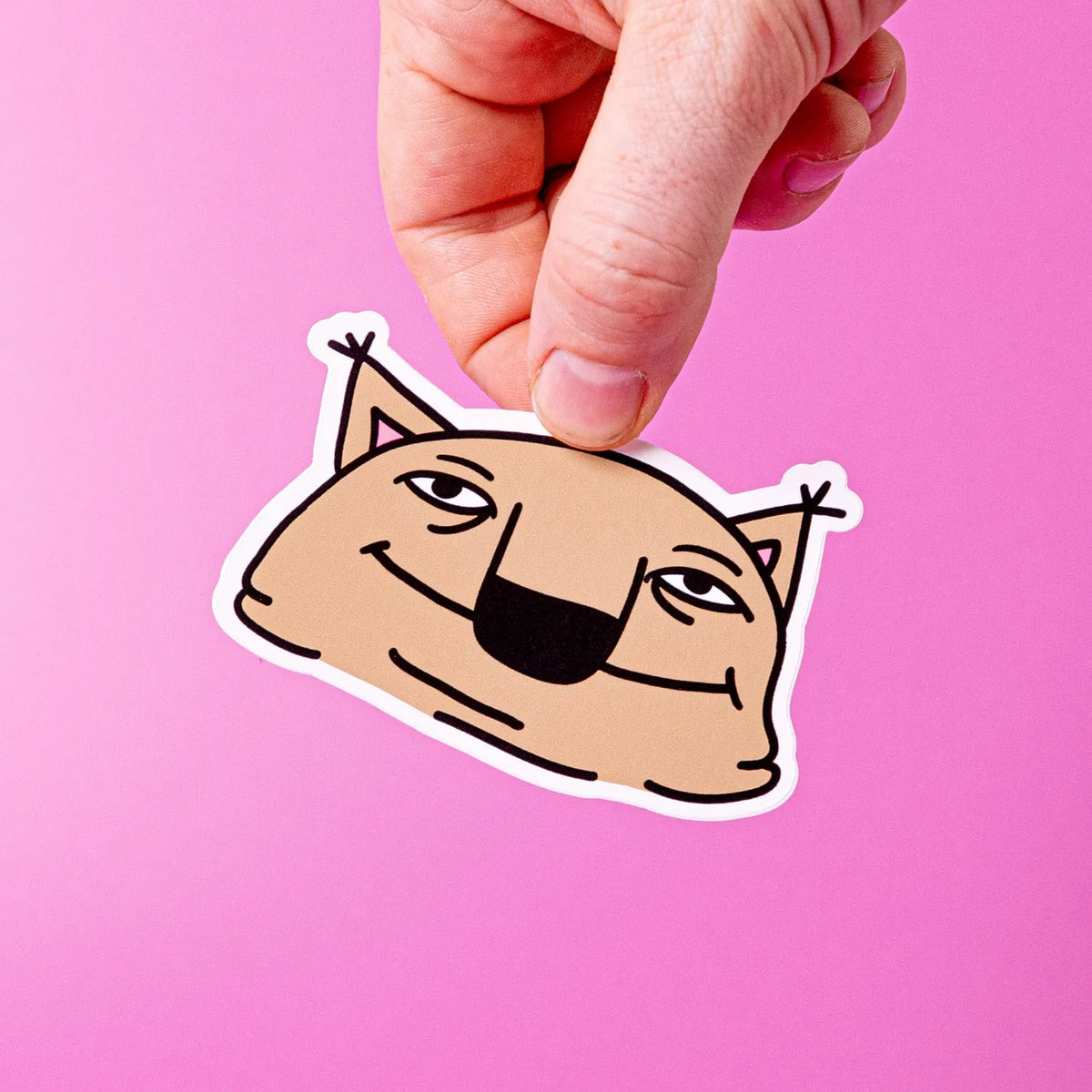 Egg Shell Samples | Sticker Printing Made Easy | Tacky And Upsetting