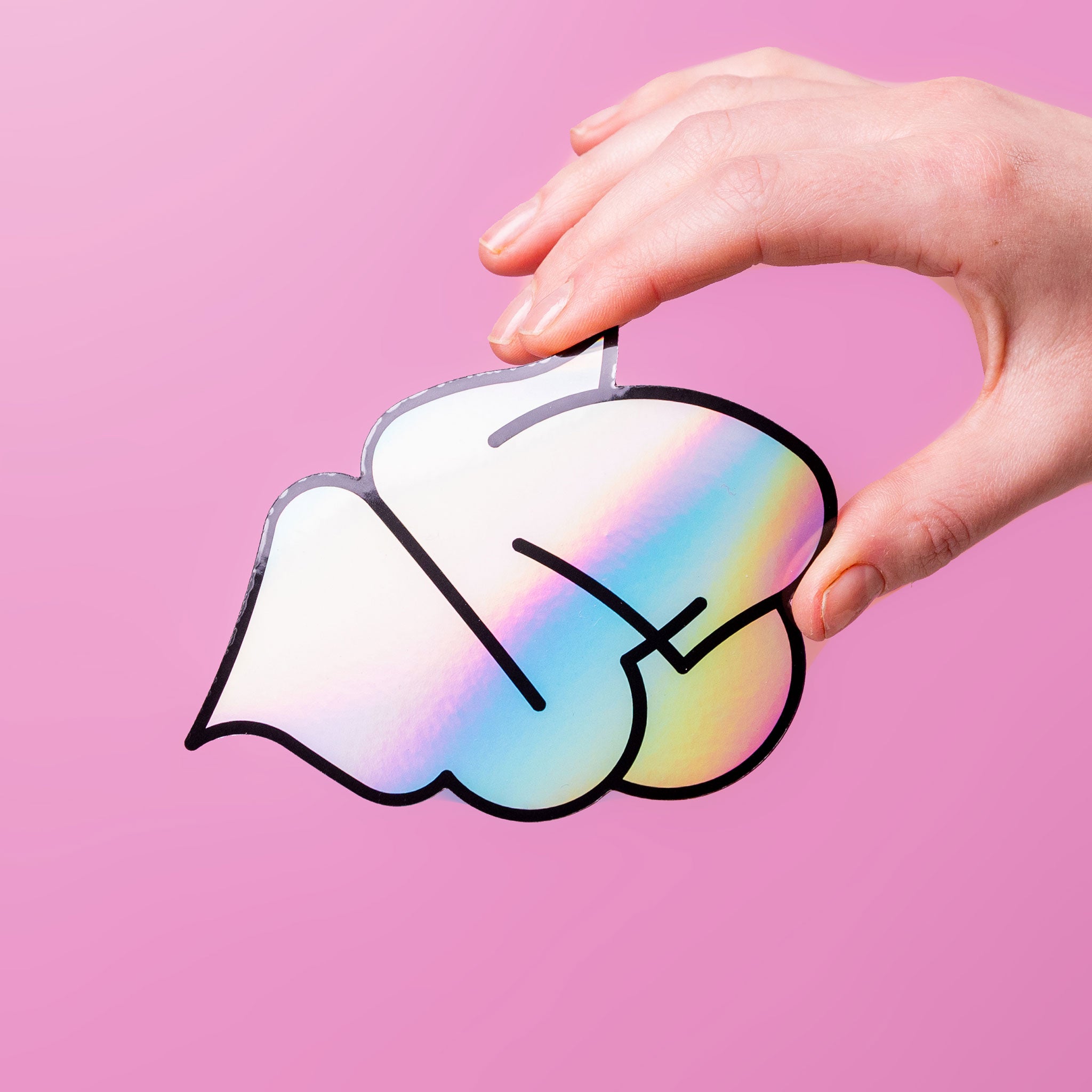 Holographic Magnets